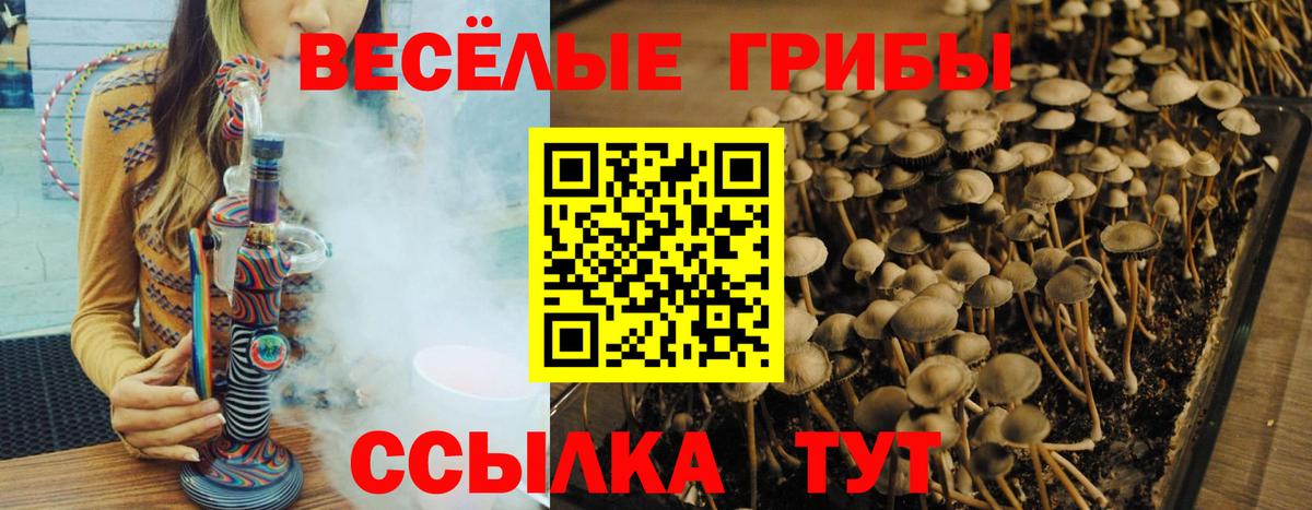 Барабинск  Псилоцибиновые грибы Magic Shrooms  Вход с VPN  Псилоцибиновые грибы ЛСД 