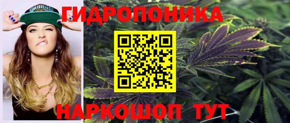 Бошки марихуана THC 21% Барабинск